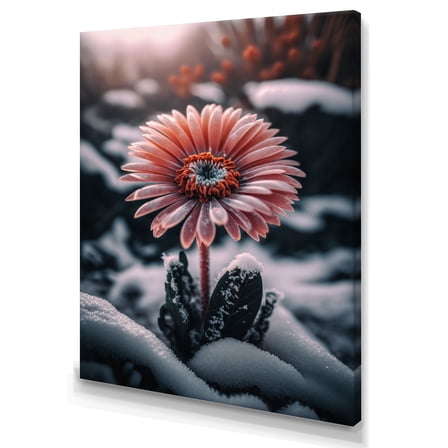 Designart A Blooming Pink Gerbera Flower In Winter II Canvas Wall Art