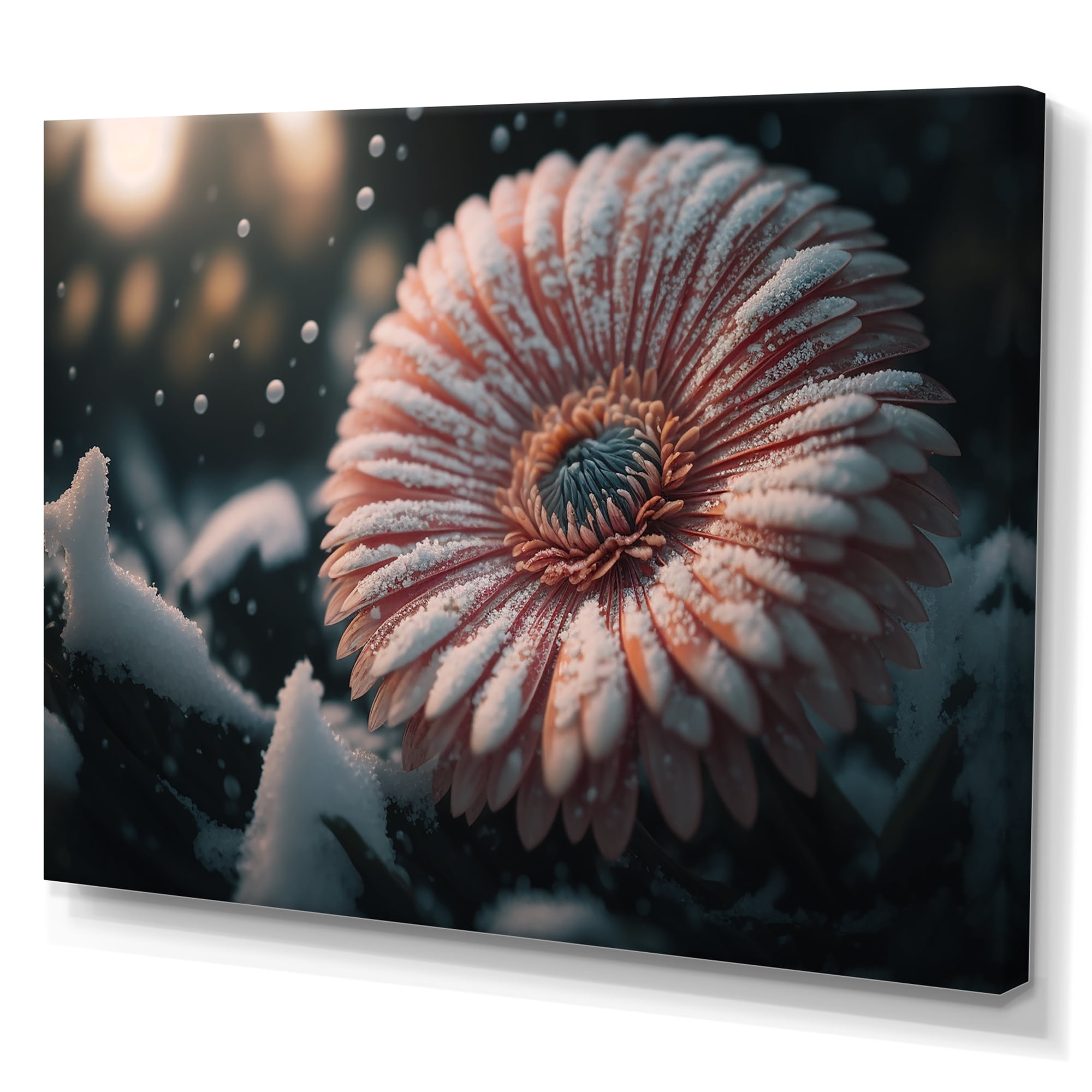 Designart A Blooming Pink Gerbera Flower In Winter III Canvas Wall Art