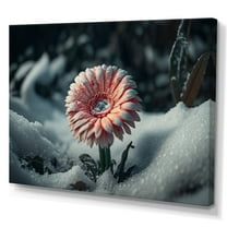 Designart A Blooming Pink Gerbera Flower In Winter IV Canvas Wall Art