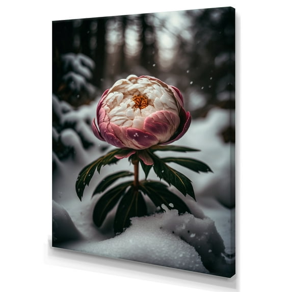 Designart A Blooming Pink Peony Flower In Winter I Canvas Wall Art