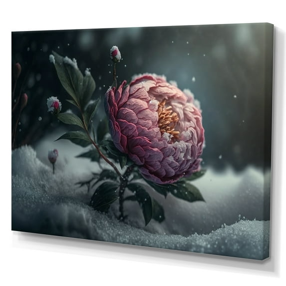 Designart A Blooming Pink Peony Flower In Winter III Canvas Wall Art