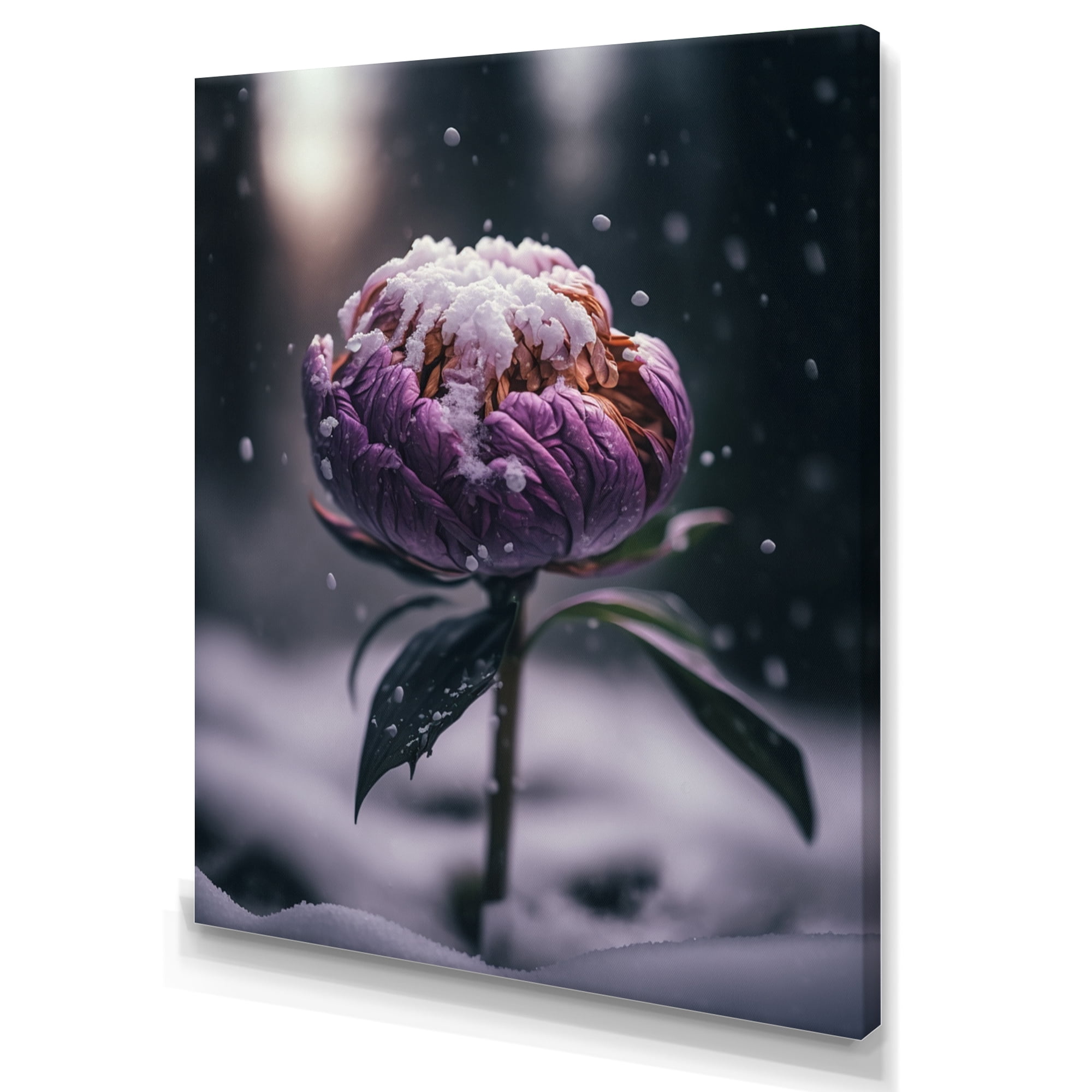 Designart A Blooming Puple Peony Flower In Winter III Canvas Wall Art