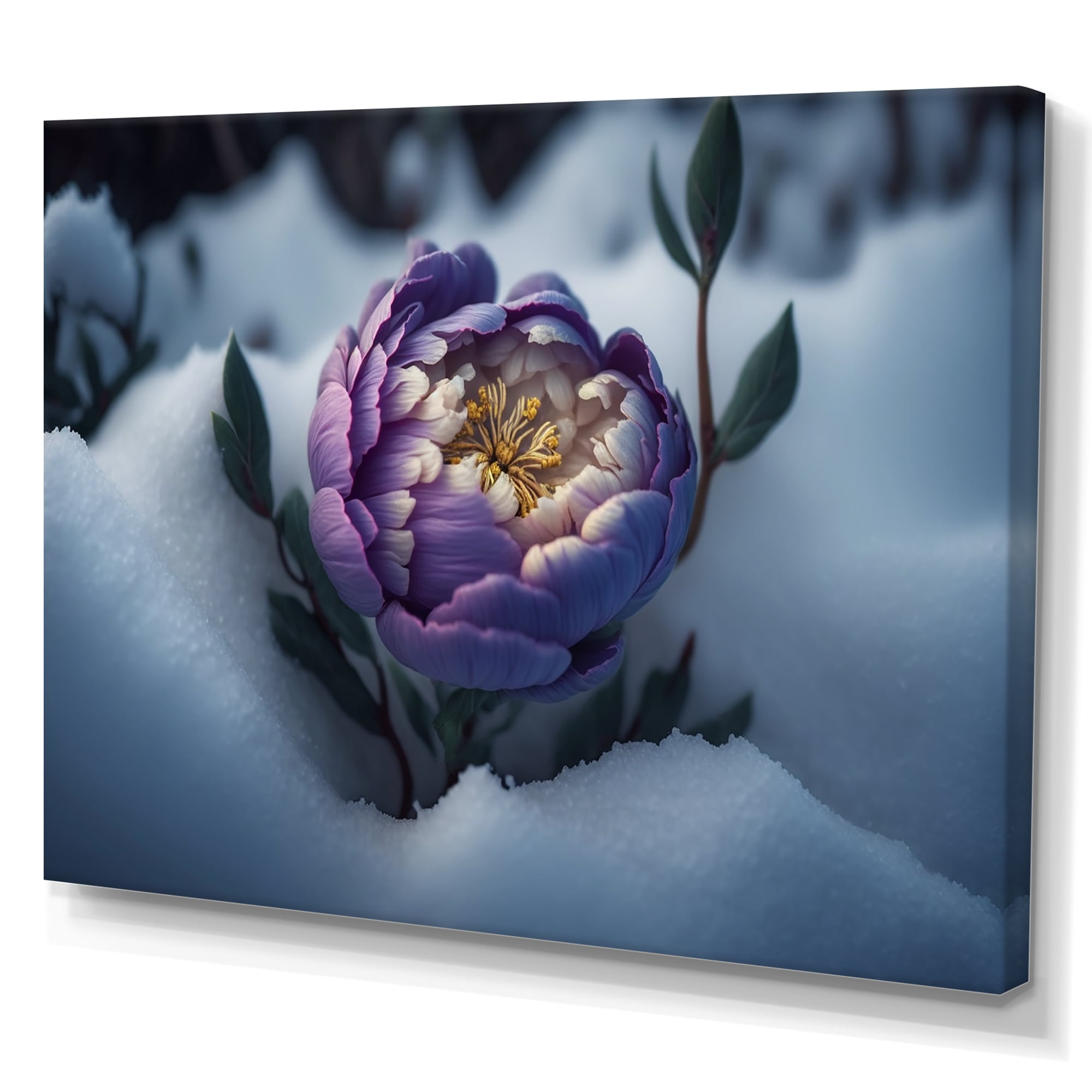 Designart A Blooming Puple Peony Flower In Winter IV Canvas Wall Art