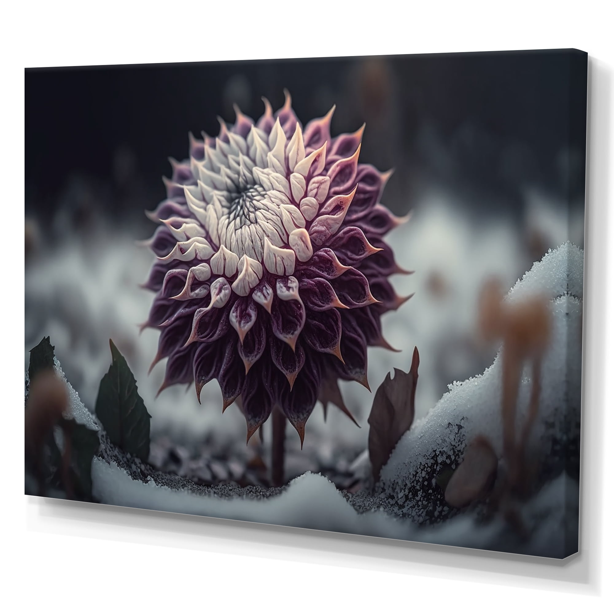 Designart A Blooming Purple Dahlia Flower In Winter III Canvas Wall Art