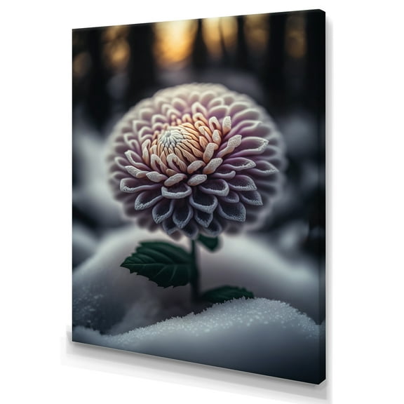 Designart A Blooming Purple Dahlia Flower In Winter V Canvas Wall Art