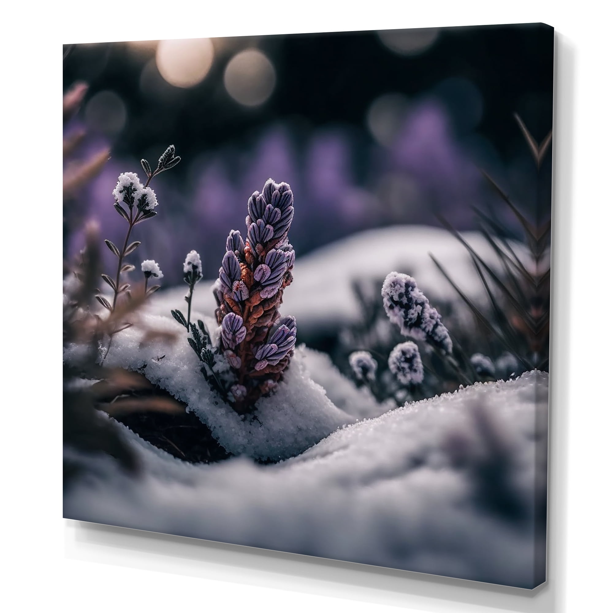 Designart A Blooming Purple Lavender Flower In Winter II Canvas Wall Art
