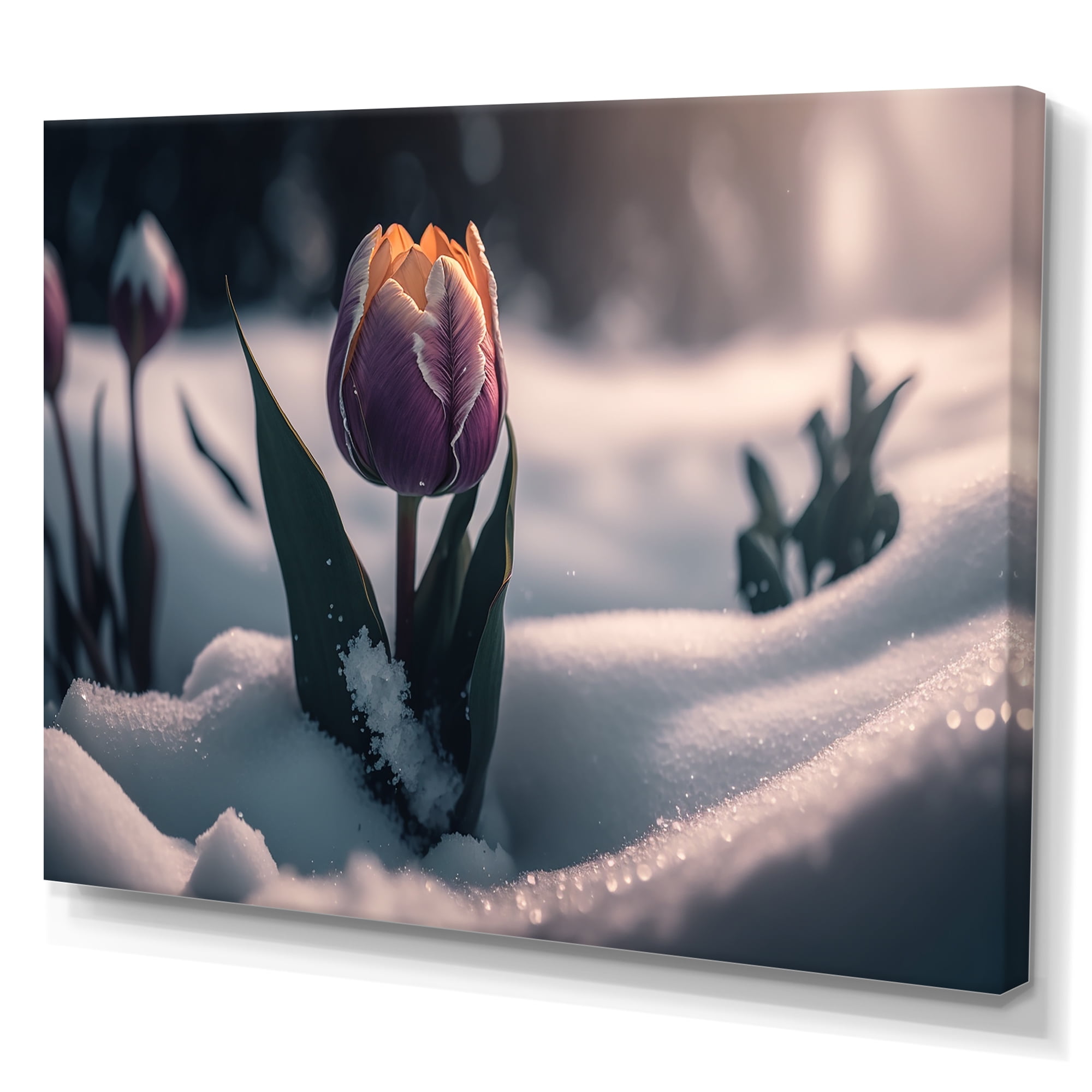 Designart A Blooming Purple Tulip Flower In Winter Canvas Wall Art