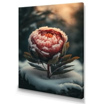 Designart A Blooming Red Peony Flower In Winter I Canvas Wall Art