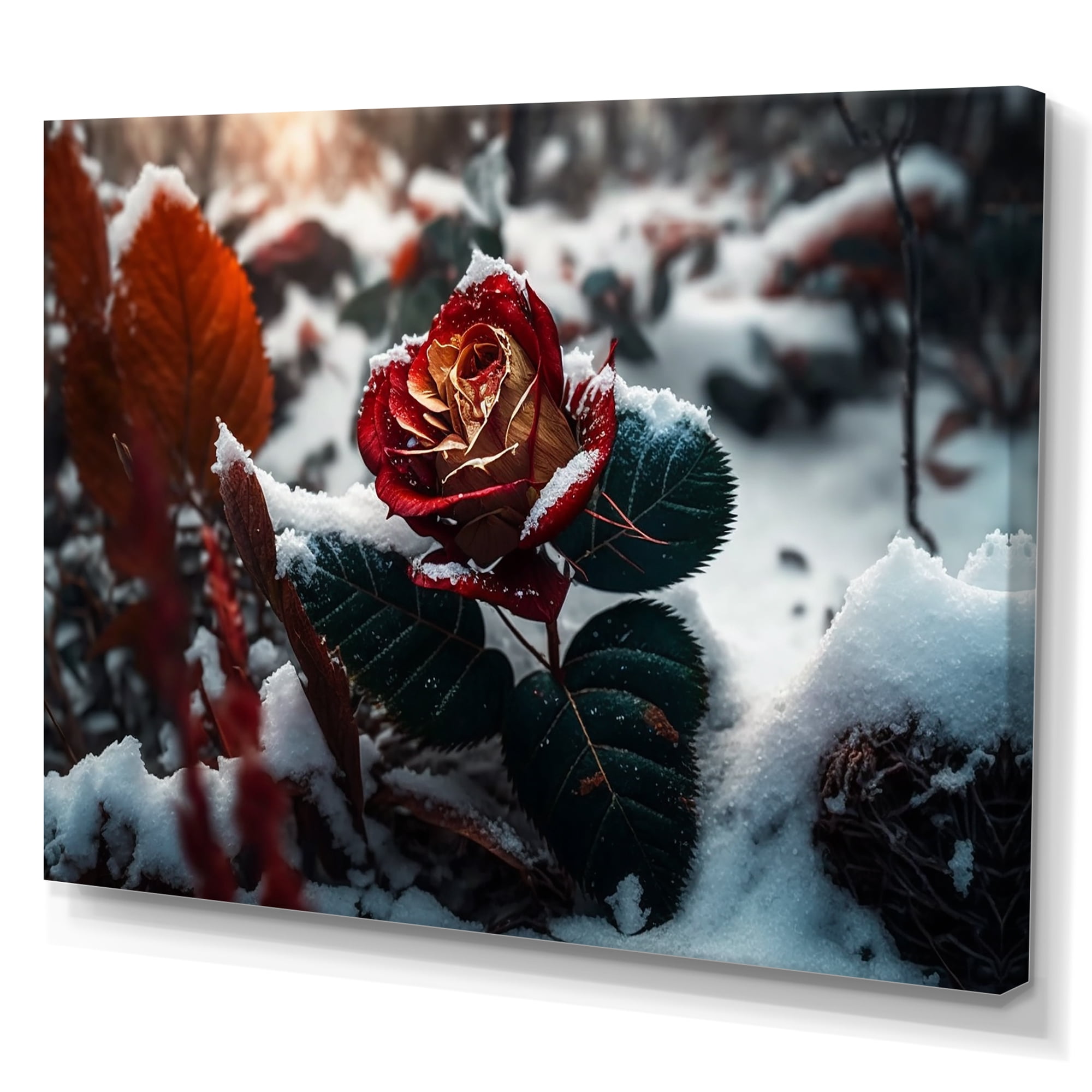 Designart A Blooming Red Rose Flower In Winter III Canvas Wall Art