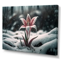 Designart A Blooming White And Pink Lily Flower In Winter Canvas Wall Art