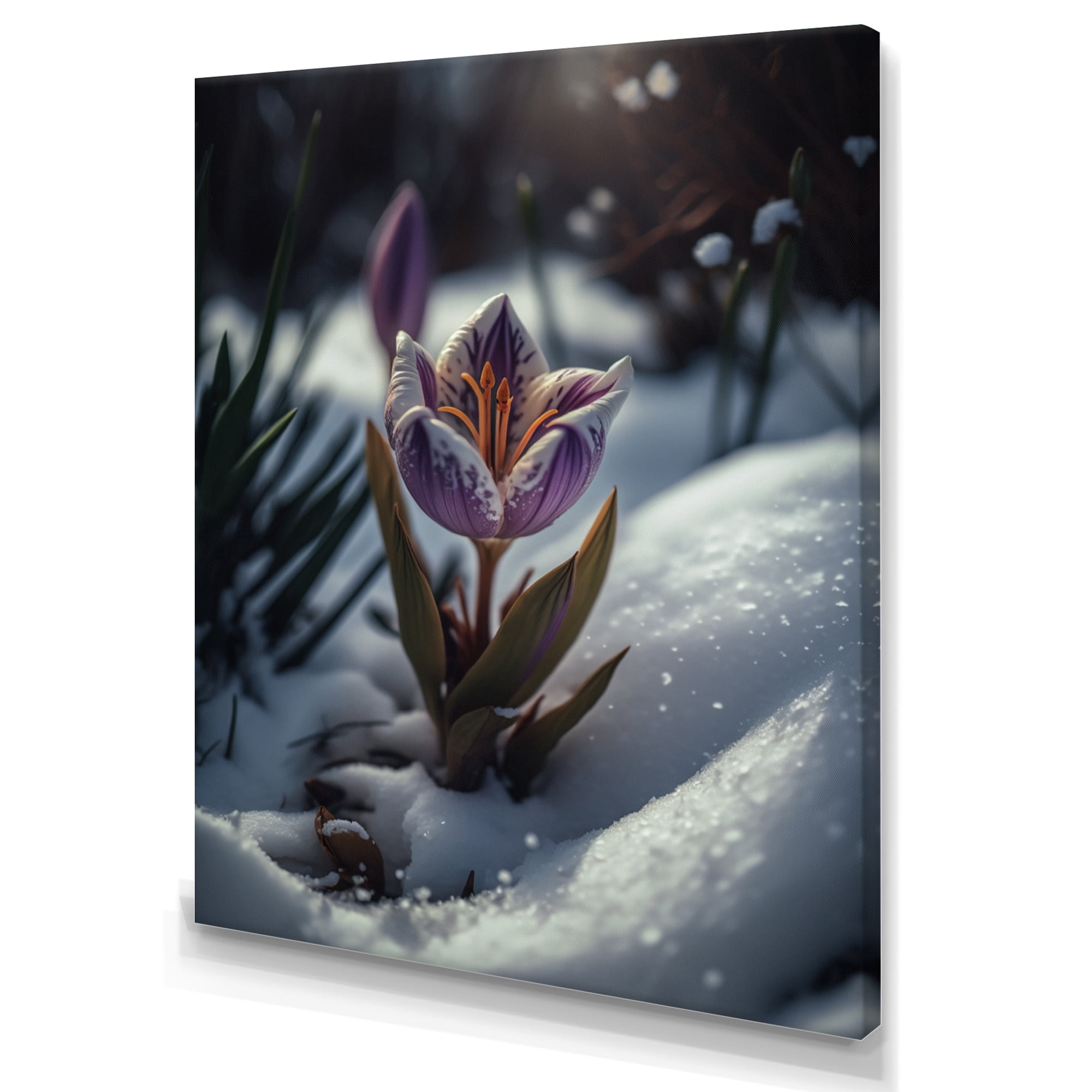 Designart A Blooming White And Purple Lily Flower In Winter II Canvas Wall Art