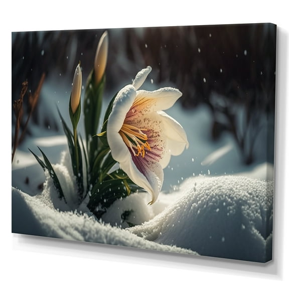 Designart A Blooming White And Purple Lily Flower In Winter III Canvas Wall Art