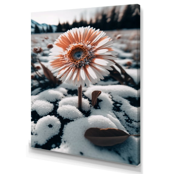 Designart A Blooming White Gerbera Flower In Winter Canvas Wall Art