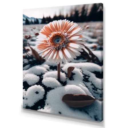 Designart A Blooming White Gerbera Flower In Winter Canvas Wall Art