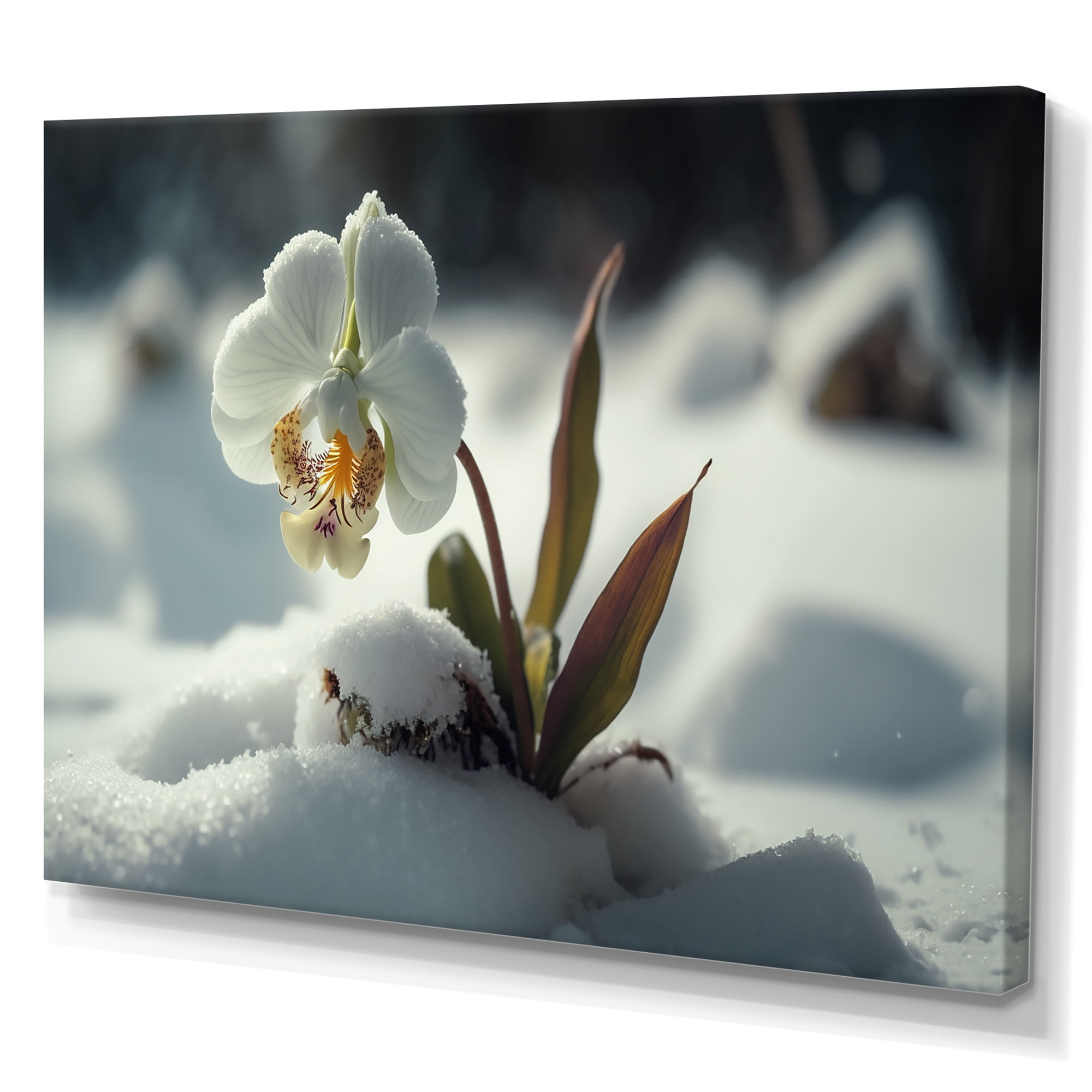 Designart A Blooming White Orchid Flower In Winter I Canvas Wall Art