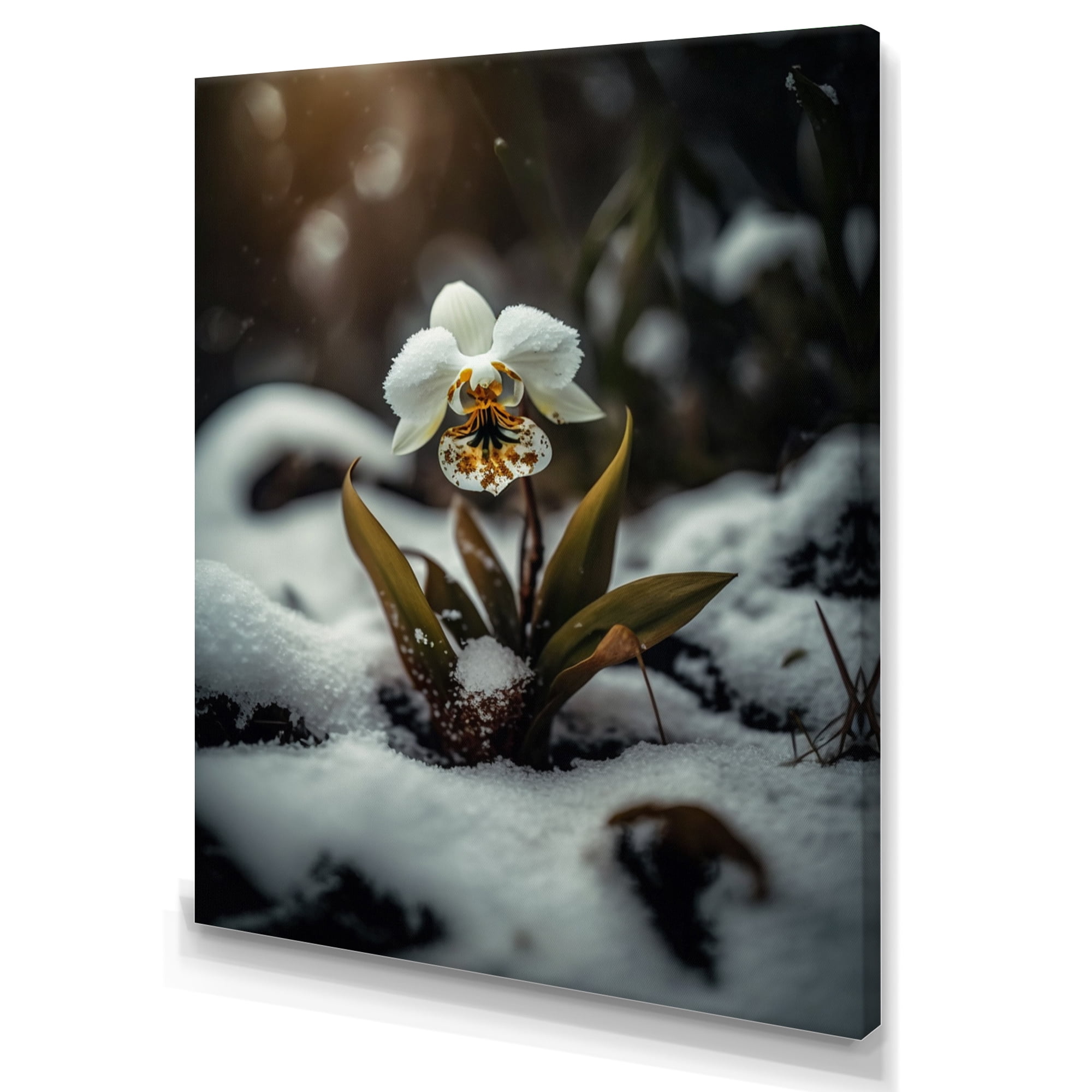 Designart A Blooming White Orchid Flower In Winter II Canvas Wall Art