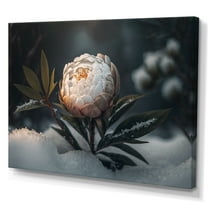 Designart A Blooming White Peony Flower In Winter III Canvas Wall Art