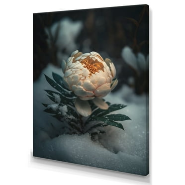 Designart A Blooming White Peony Flower In Winter IV Canvas Wall Art