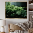thumbnail image 1 of Designart "A Close Up Photo of Ferns II" Floral Floater Framed Canvas Art Print, 1 of 7