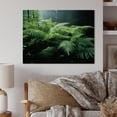 thumbnail image 1 of Designart "A Close Up Photo of Ferns II" Floral Metal Wall Decor, 1 of 5
