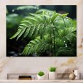 thumbnail image 1 of Designart "A Close Up Photo of Ferns V" Floral Metal Art Print, 1 of 5