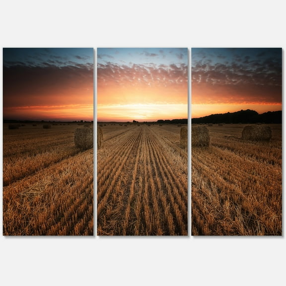 Designart ' A Field Full of Hay Bales At Sunset Landscape ' Farmhouse Canvas Wall Art Print