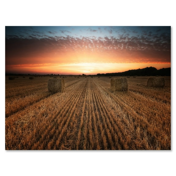 Designart ' A Field Full of Hay Bales At Sunset Landscape ' Farmhouse Canvas Wall Art Print