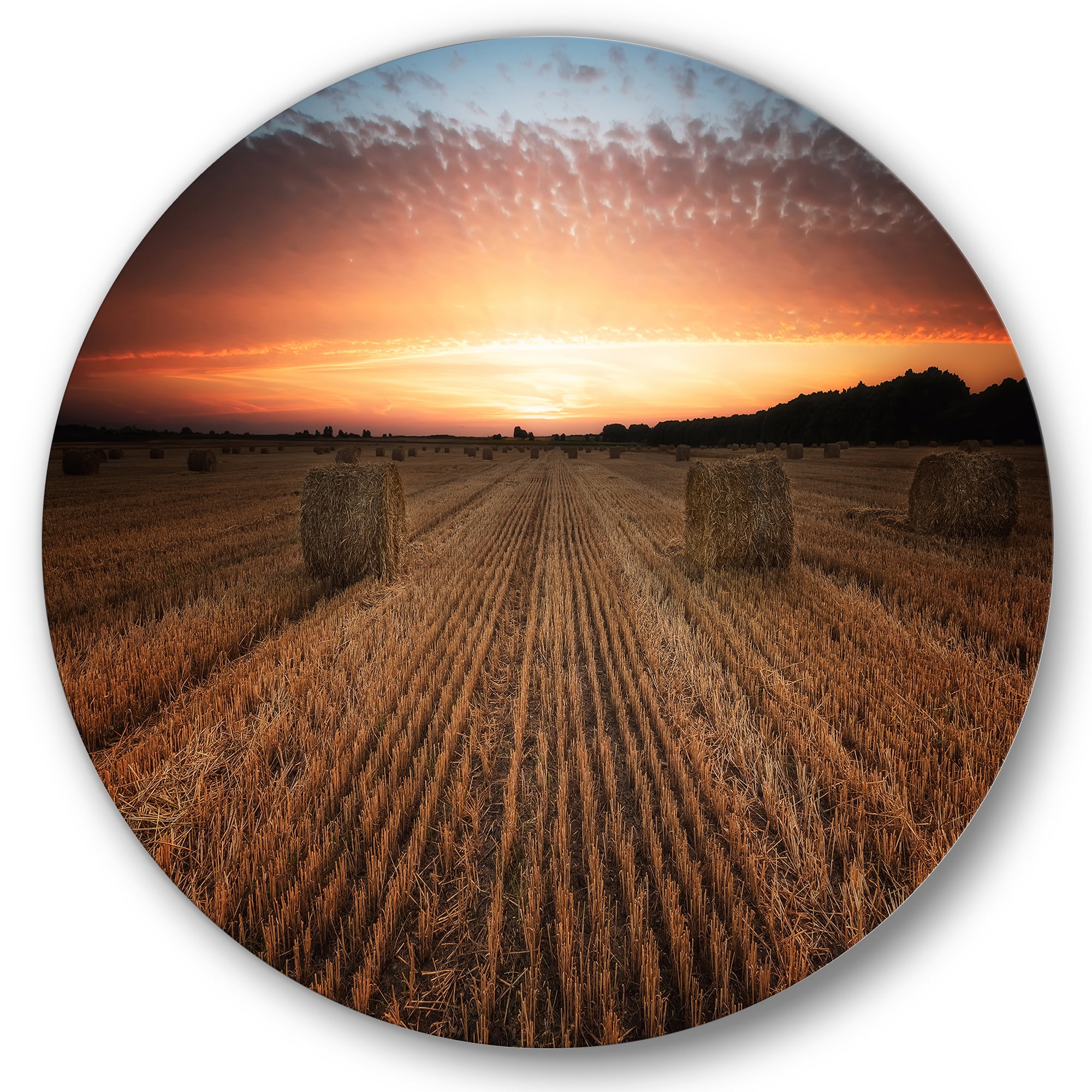 Designart 'A Field Full of Hay Bales At Sunset Landscape' Farmhouse Circle Metal Wall Art 29x29 - Disc of 29