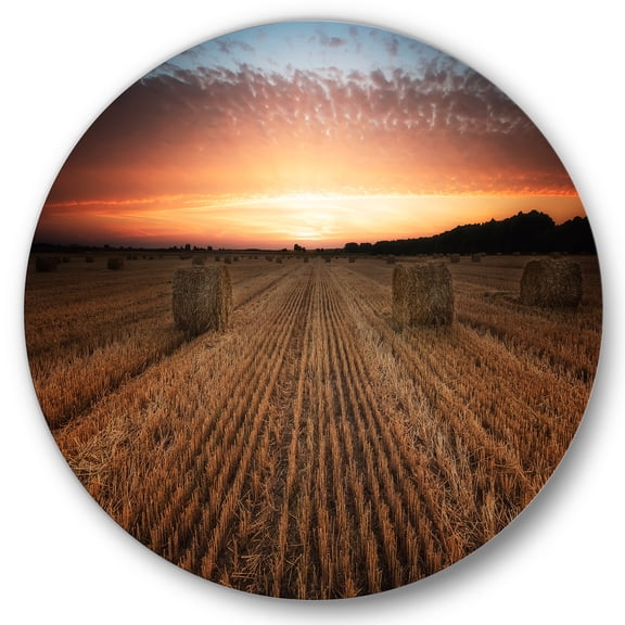 Designart 'A Field Full of Hay Bales At Sunset Landscape' Farmhouse Circle Metal Wall Art 36x36 - Disc of 36
