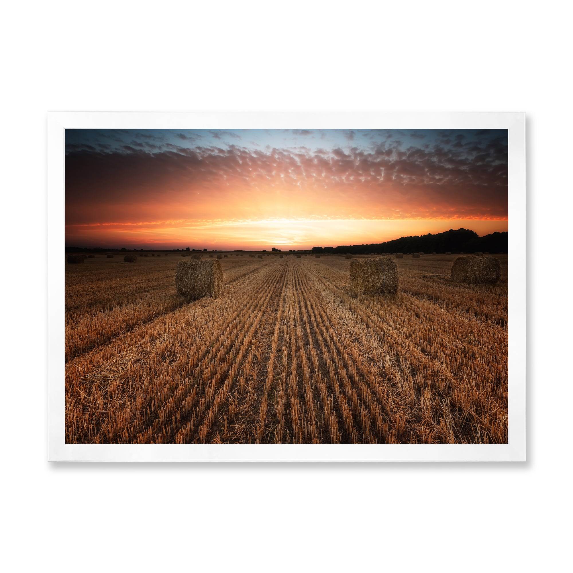 Designart 'A Field Full of Hay Bales At Sunset Landscape' Farmhouse Framed Art Print