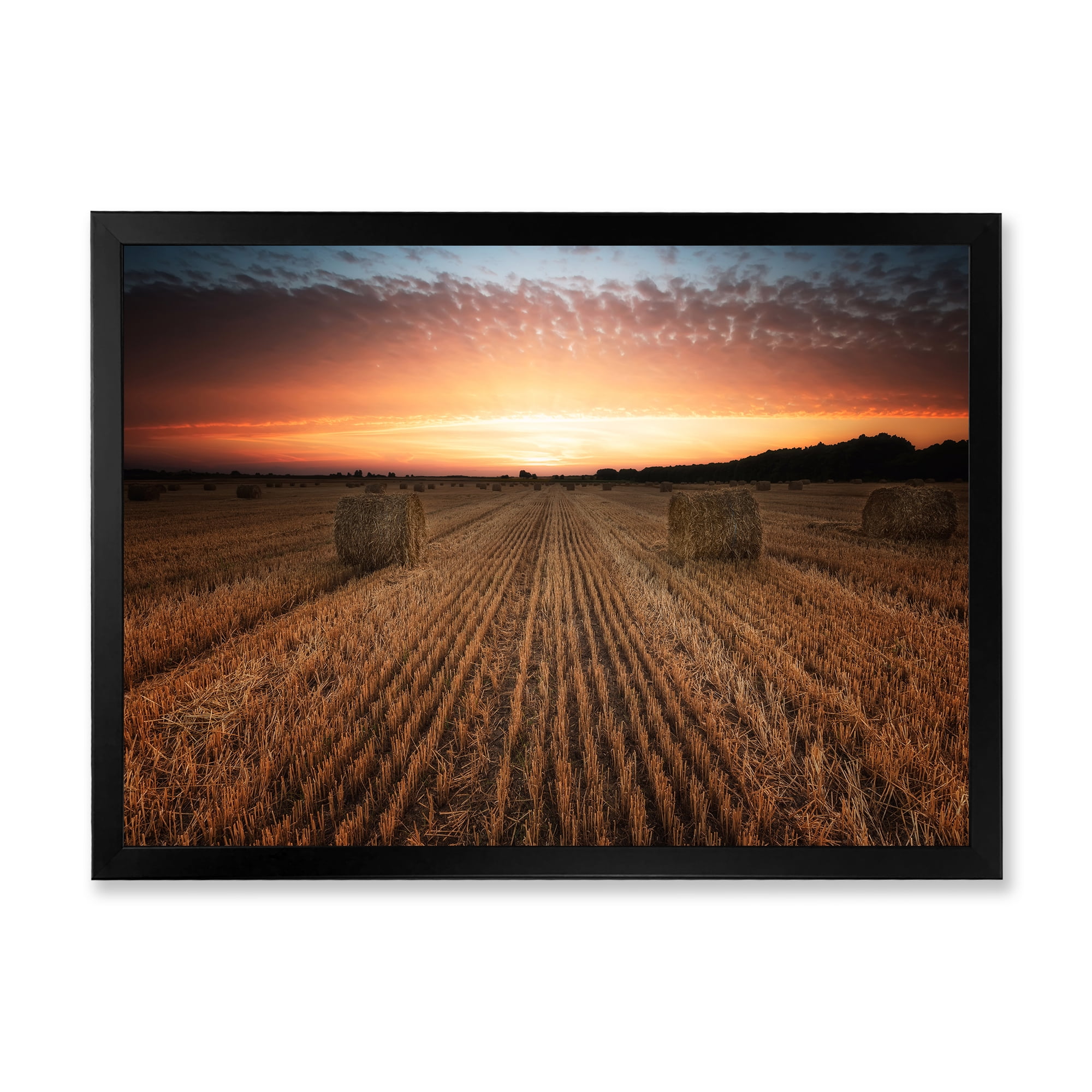Designart 'A Field Full of Hay Bales At Sunset Landscape' Farmhouse Framed Art Print