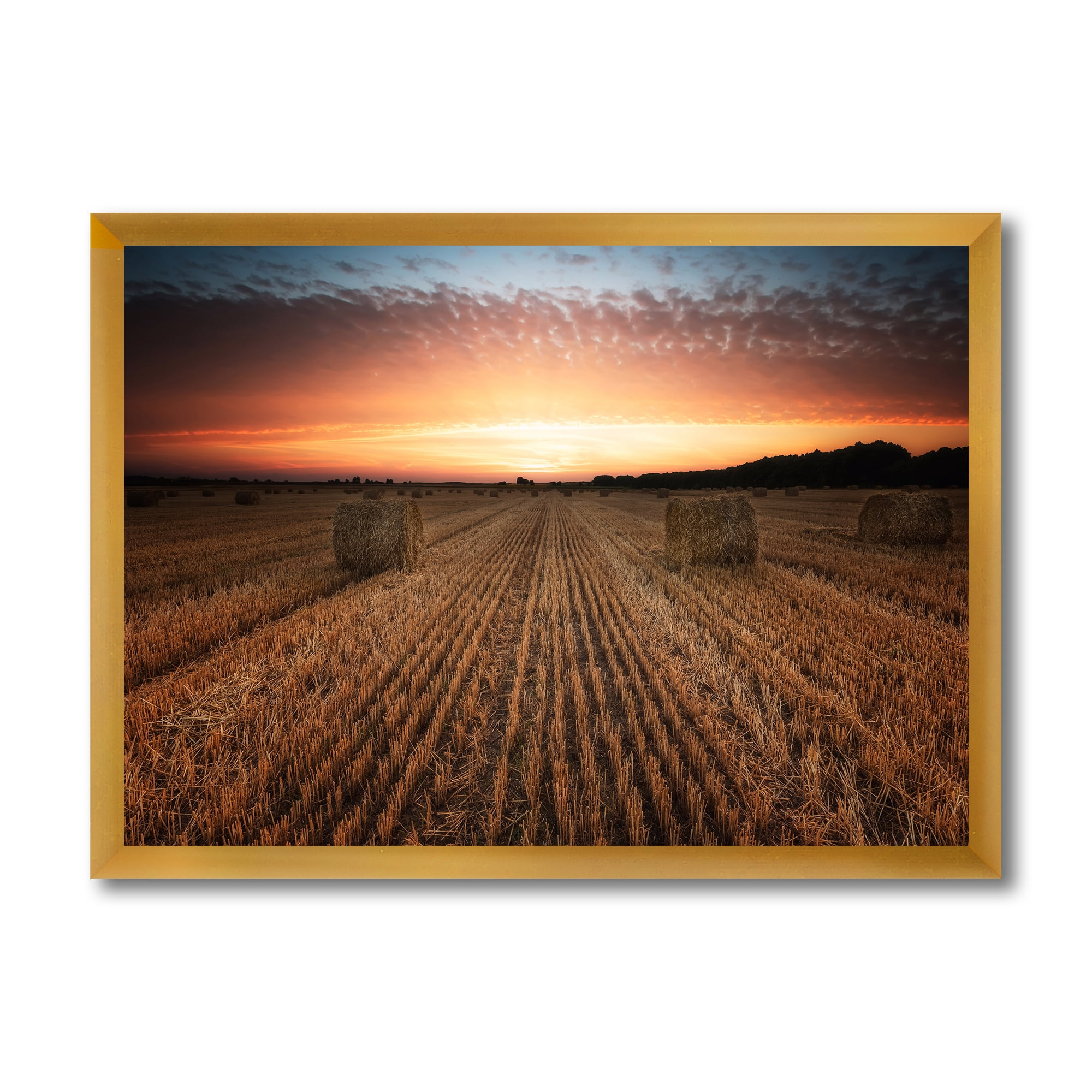 Designart 'A Field Full of Hay Bales At Sunset Landscape' Farmhouse Framed Art Print