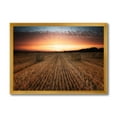 thumbnail image 1 of Designart 'A Field Full of Hay Bales At Sunset Landscape' Farmhouse Framed Art Print, 1 of 4