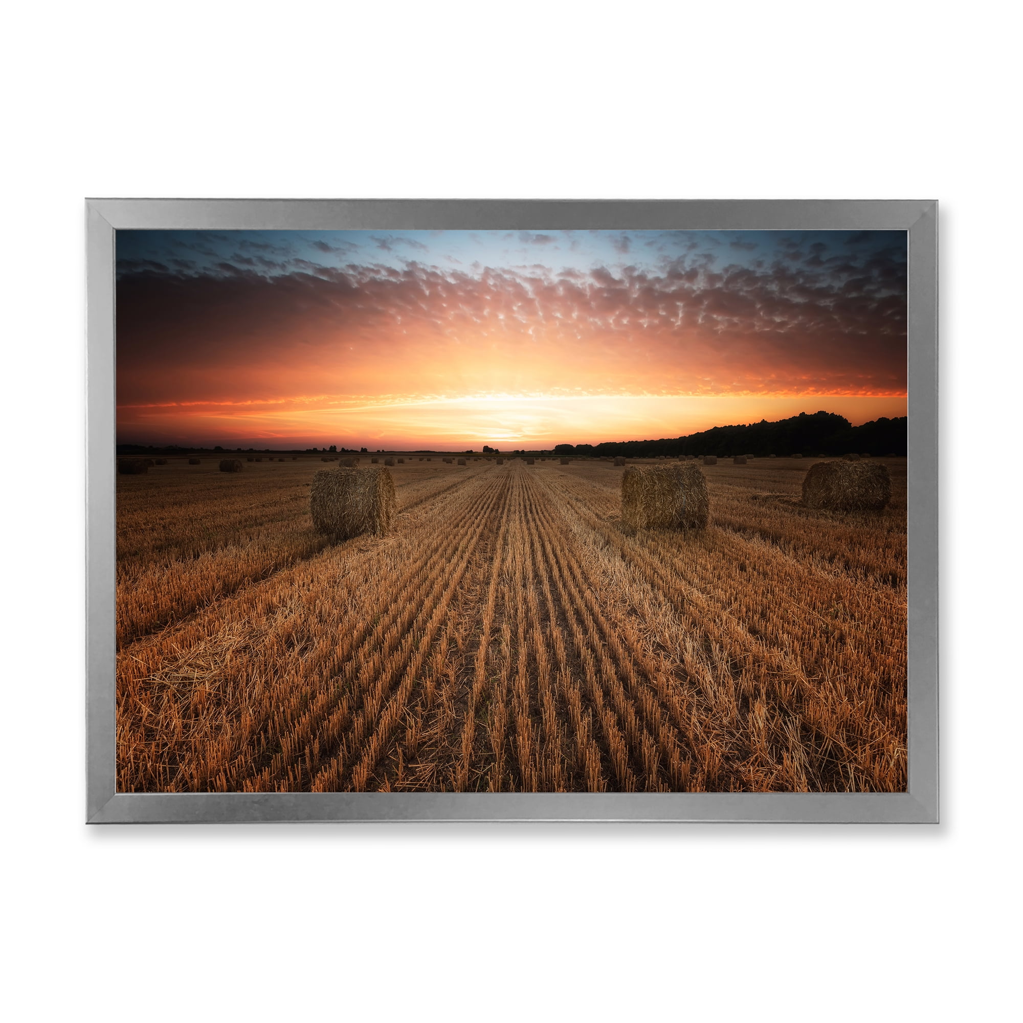 Designart 'A Field Full of Hay Bales At Sunset Landscape' Farmhouse Framed Art Print