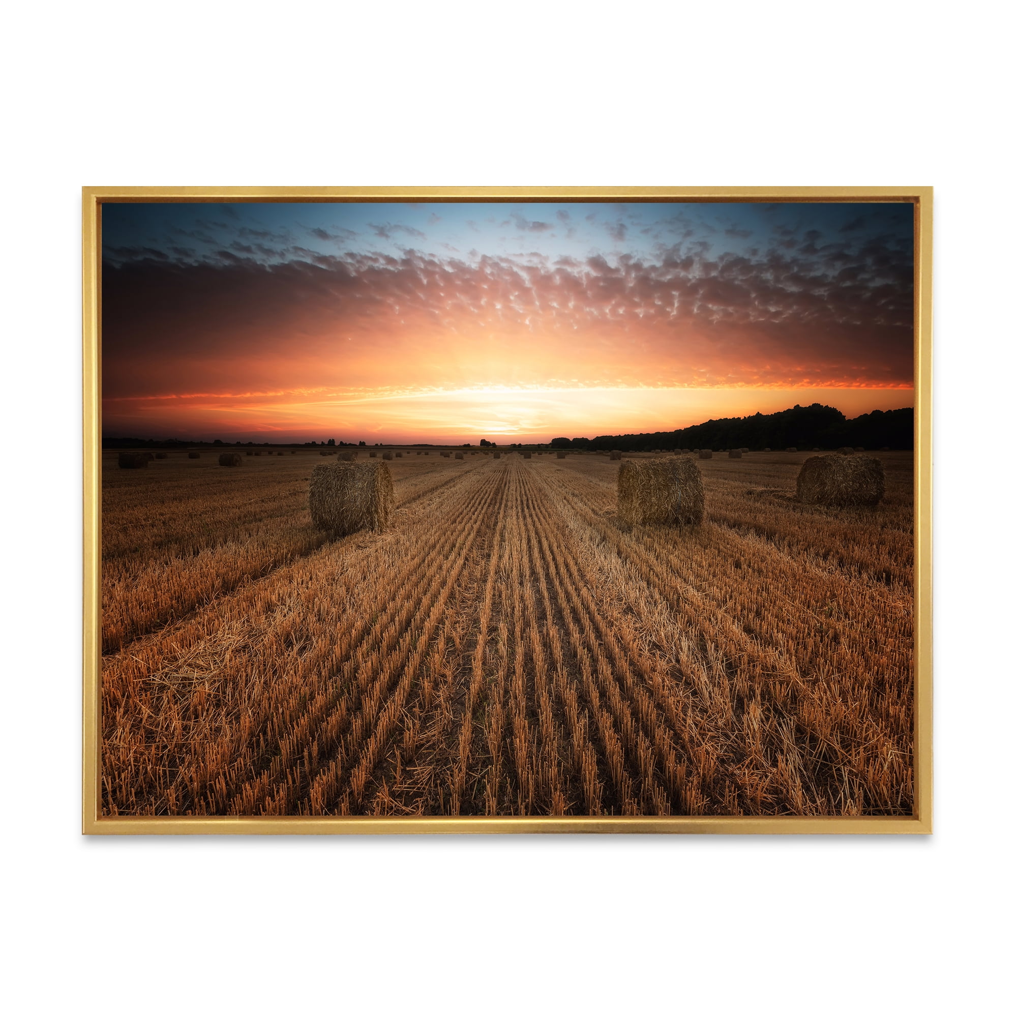 Designart 'A Field Full of Hay Bales At Sunset Landscape' Farmhouse Framed Canvas Wall Art Print
