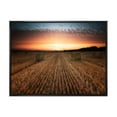 thumbnail image 1 of Designart 'A Field Full of Hay Bales At Sunset Landscape' Farmhouse Framed Canvas Wall Art Print, 1 of 5