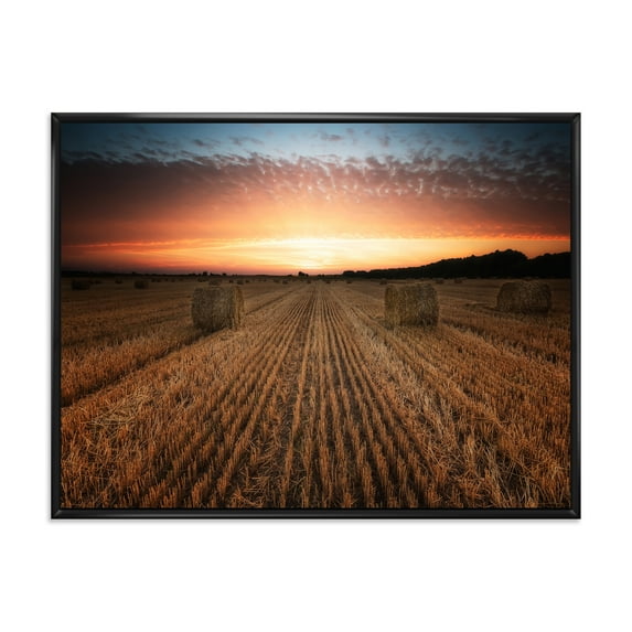 Designart 'A Field Full of Hay Bales At Sunset Landscape' Farmhouse Framed Canvas Wall Art Print