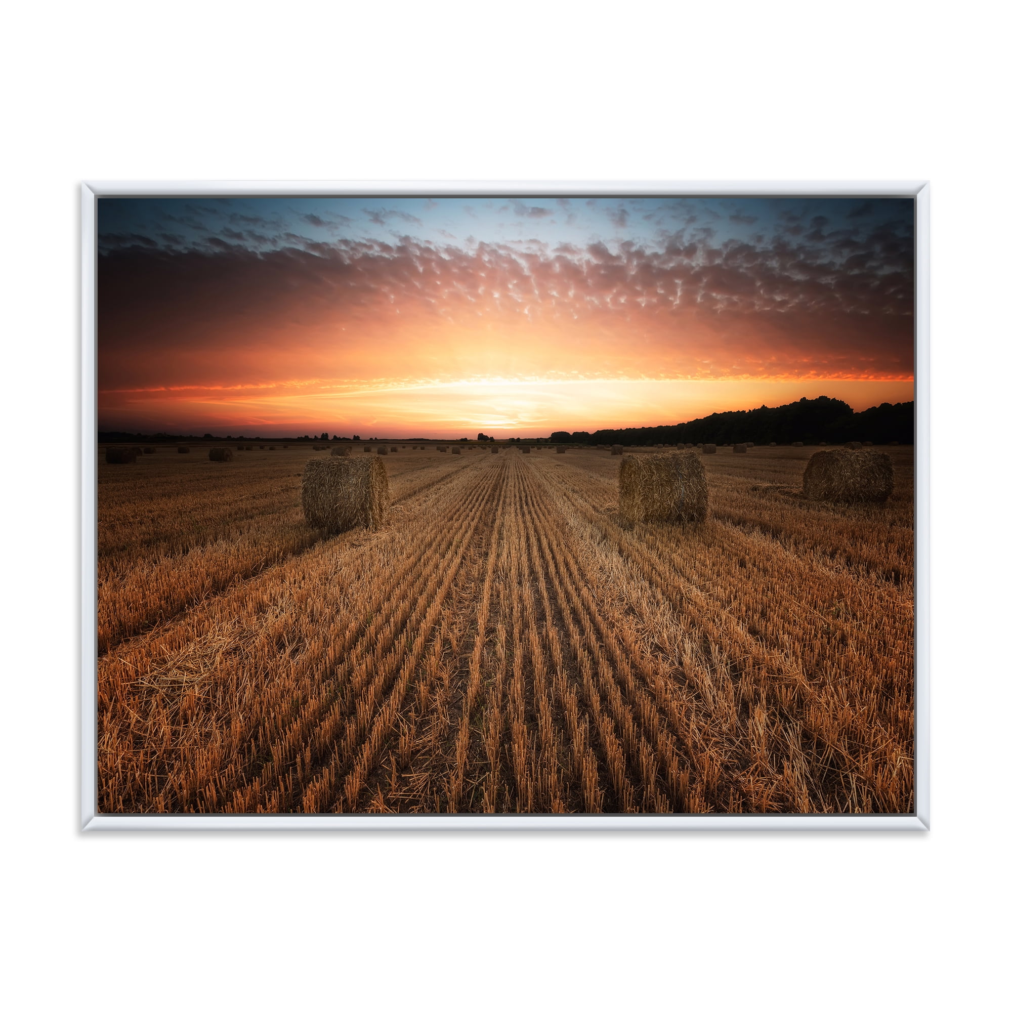 Designart 'A Field Full of Hay Bales At Sunset Landscape' Farmhouse Framed Canvas Wall Art Print