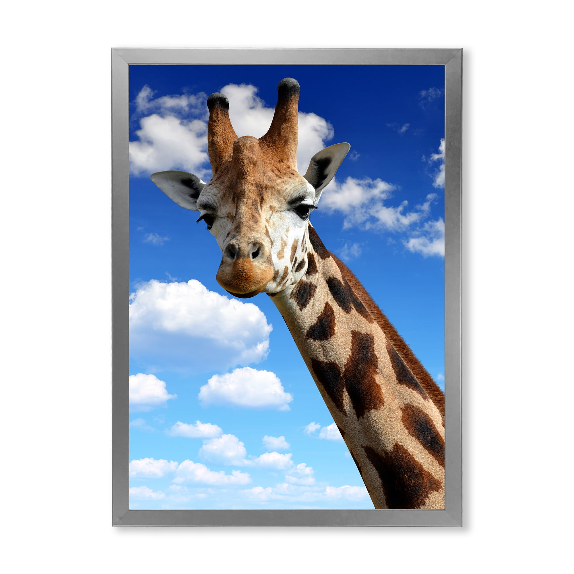 Designart 'A Giraffe On A Blue Sky Portrait' Farmhouse Framed Art Print