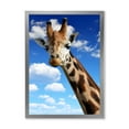 thumbnail image 1 of Designart 'A Giraffe On A Blue Sky Portrait' Farmhouse Framed Art Print, 1 of 4