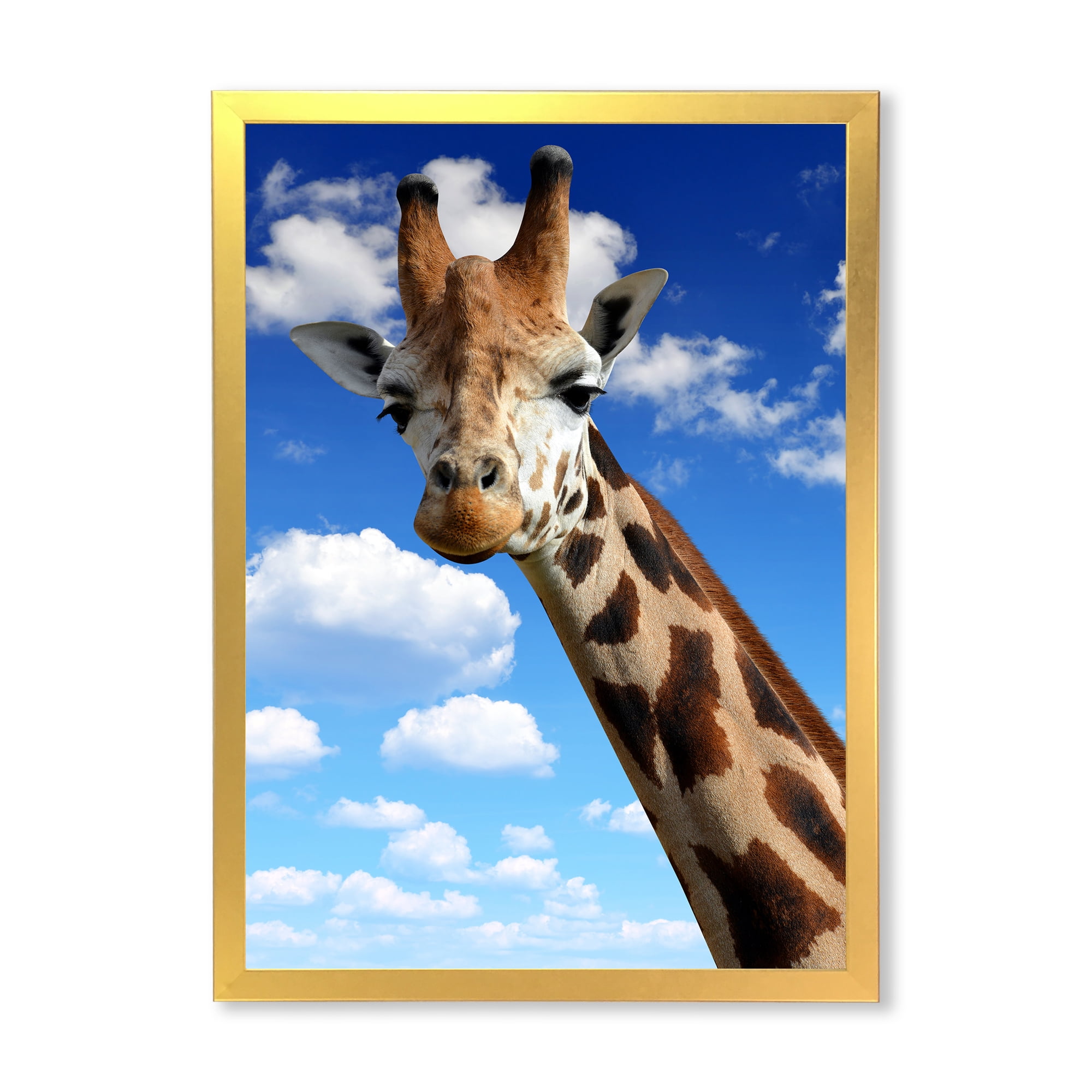 Designart 'A Giraffe On A Blue Sky Portrait' Farmhouse Framed Art Print