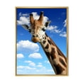 thumbnail image 1 of Designart 'A Giraffe On A Blue Sky Portrait' Farmhouse Framed Canvas Wall Art Print, 1 of 5
