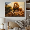 thumbnail image 1 of Designart "A Lion Captured En Plein Air II" Animals Wall Art Print, 1 of 5