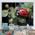 thumbnail image 1 of Designart "A Lullaby In The Rainy Company Of Ladybugs" Ladybug Floater Framed Canvas Prints, 1 of 5