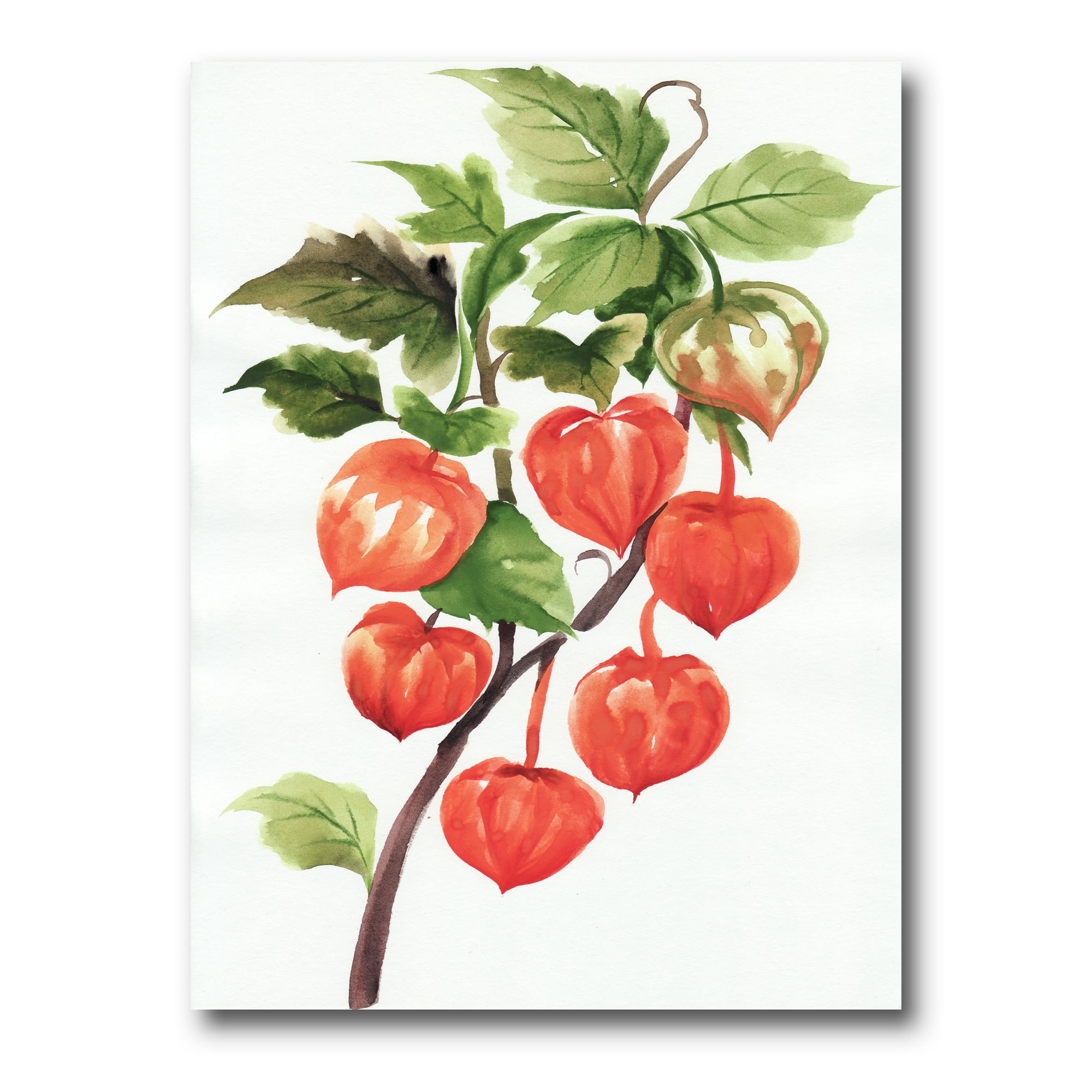 Designart ' A Red Physalis Branch ' Traditional Canvas Wall Art Print