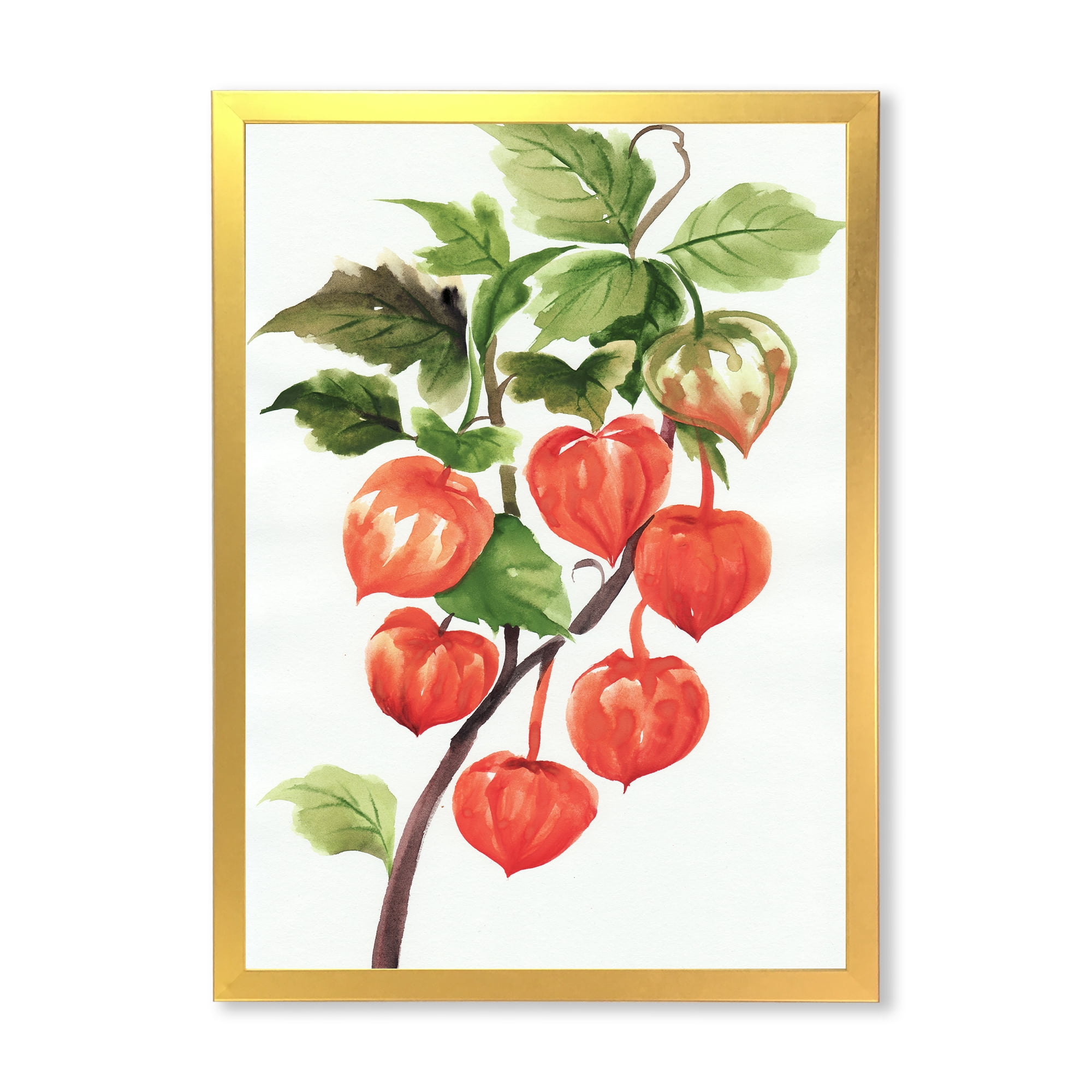 Designart 'A Red Physalis Branch' Traditional Framed Art Print