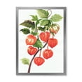 thumbnail image 1 of Designart 'A Red Physalis Branch' Traditional Framed Art Print, 1 of 4