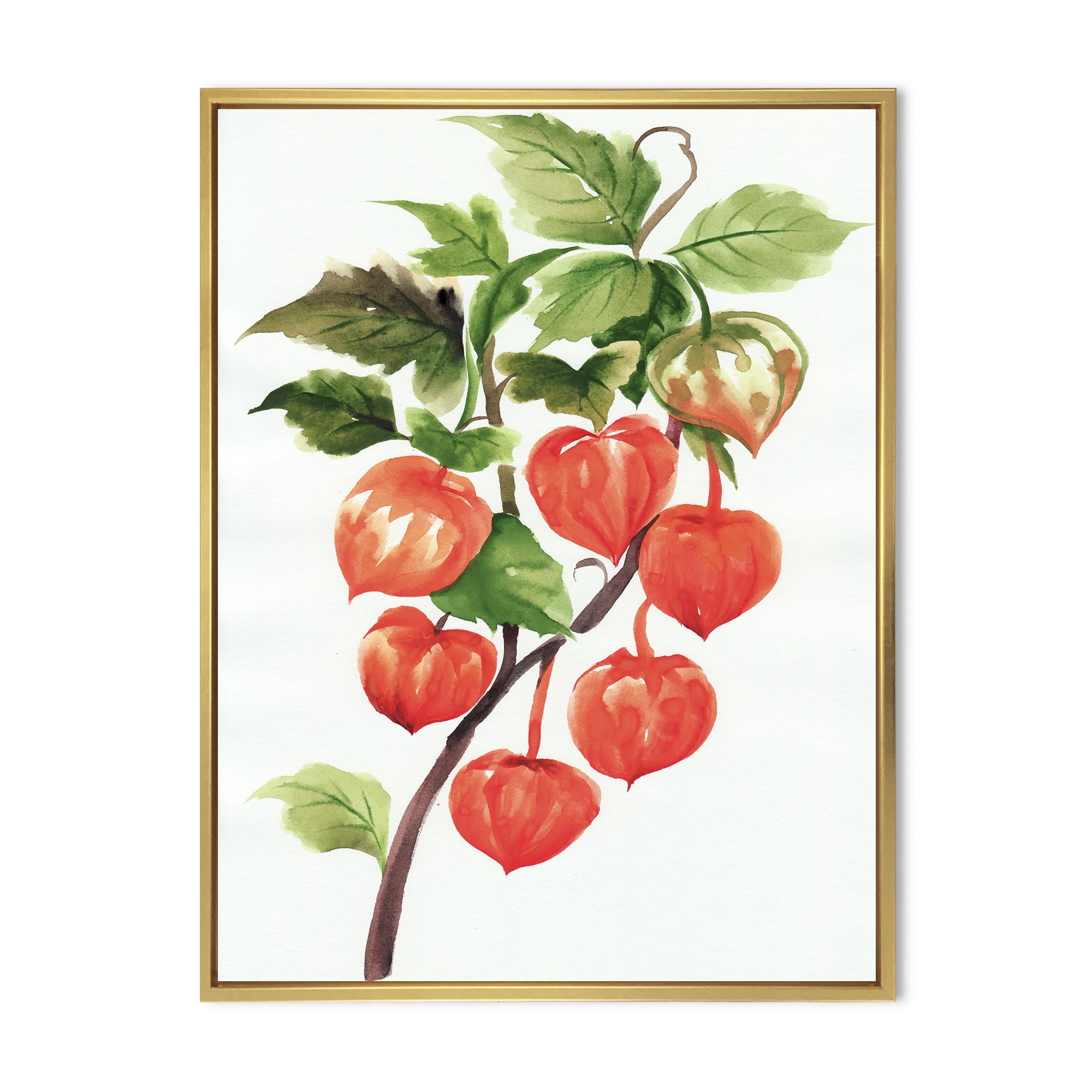 Designart 'A Red Physalis Branch' Traditional Framed Canvas Wall Art Print