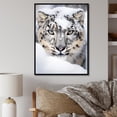 thumbnail image 1 of Designart "A Winter Portrait of a White Tiger I" Animals Floater Framed Wall Art Print, 1 of 7