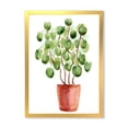 thumbnail image 1 of Designart 'Abstract Chinese Money Plant In Pot' Traditional Framed Art Print, 1 of 4